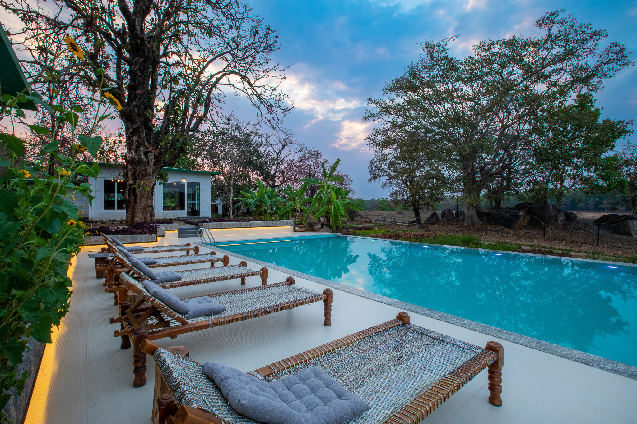 The Riverwood Forest Retreat opens up in Kanha by Waxpol Hotels ...